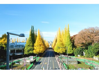 ザ アロマ スパ 青山(THE AROMA SPA AOYAMA)/外苑前イチョウ並木を独り占め