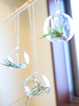 プラッシュ(Plash)/内観