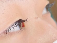 ラシェスキタモト (luscius kitamoto)/エアーセーブル ８０本