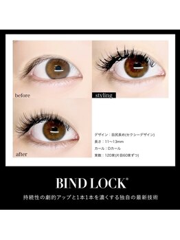 パキラ(Pachira)/before→after→styling