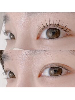 ビューティー アイラッシュ ベルウインク(Bellewink)/まつげパーマ