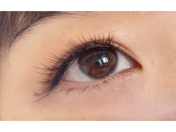 シマー(shimmer)/バインドロック70束