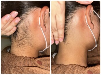 ベルフィオーレ(bel fiore)