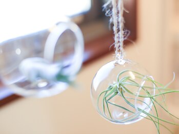 プラッシュ(Plash)/内観