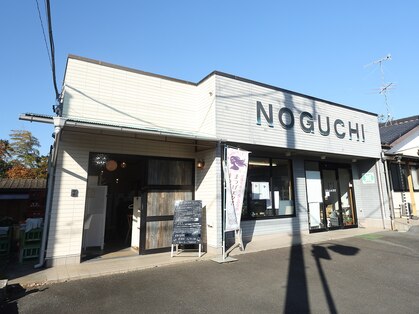 ノグ(Nogu..)の写真
