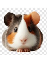 トライナ(Tryna)&nbsp;Yuumi 