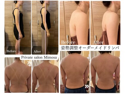 ミモザ(Mimosa)の写真