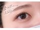 リリーナイン(Lily Nine)の写真