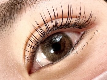 プルームミコ(Plume mico)/フラットラッシュ