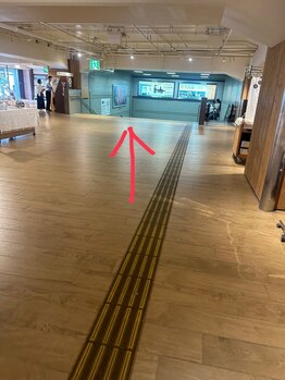 プラチナムドール 枚方店(PLATINUM DOLL)/無印良品さん左の階段をおります