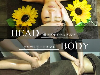 タイチ(Taichi)の写真