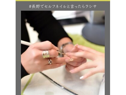 ラシサ(RA shisa)の写真