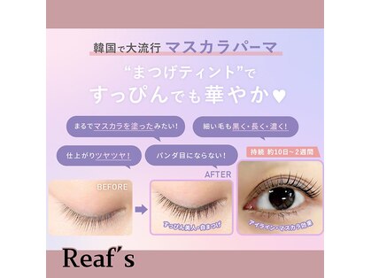 エステルーム リーフズ 大和店の写真