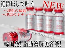 リーインカーナ アーティスト(REINCARNA ARTIST)の雰囲気（韓国発●レッドショット導入！脂肪分解×エイジング(美容上級者)）