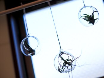 プラッシュ(Plash)/内観