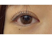 ペルシャ(Persian)/ラッシュリフト【若葉/坂戸]