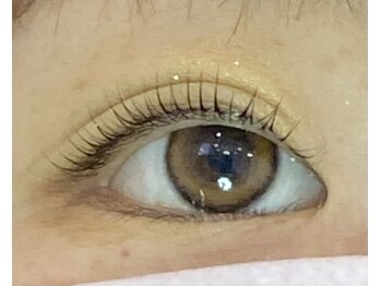 ペルシャ(Persian)/お客様デザイン【若葉/鶴ヶ島】