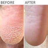 クオッカ(Quokka)