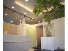 北与野リペア鍼灸整骨院の雰囲気（鍼灸/美容鍼/全身調整/自律神経/肩こり/腰痛/ストレス/整体）