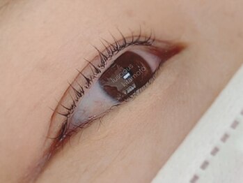 ラシェスキタモト (luscius kitamoto)/まつ毛パーマ