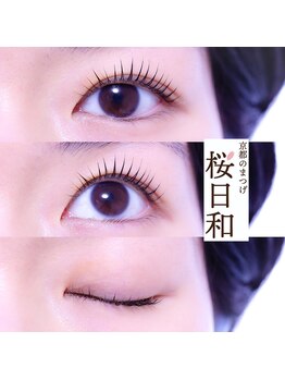 京都のまつげ 桜日和/