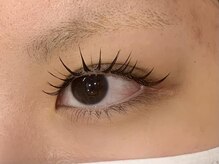 アングゥ ウル(ungu ul)/パリエク100本