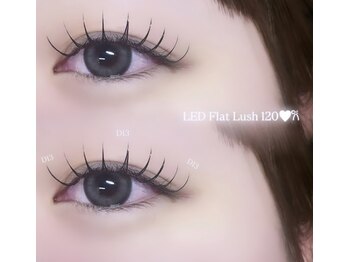 ヌーブ(NOUVE)/LEDフラットラッシュ120本