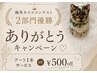 【新規様限定】オフ代込み☆フットワンカラー＋ちょこっとアートor500円off