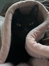 グロービューティ ミュー(growbeauty mew)/黒猫のゆう店長