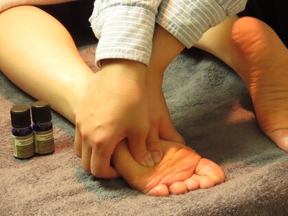 ジュニパー(JUNIPER)の写真