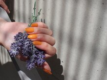 ザネクストキタホリエ(The Next...kitahorie)/ワンカラー/シンプル