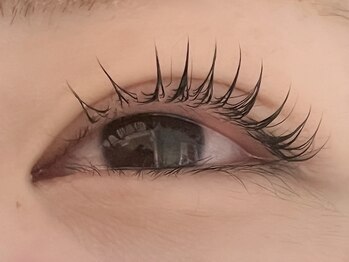 サロングレイス(Salon Grace)/まつ毛パーマ