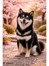 ヒグチ HILLS店(HIGUCHI)&nbsp;野々村 一