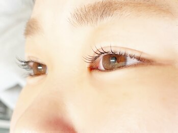 シルドラパン(cils de Lapin)/ラッシュリフトカール