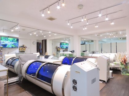 陽だまりの写真