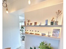 キー 学芸大学本店(kii)/内装☆［学芸大学/学大/マツパ］