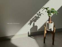 セルーチェナ(Seruchena.)/