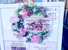 ピンクのラナンキュラス/外観