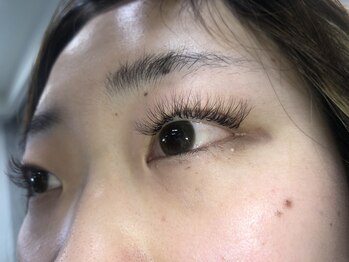 ジョリー(Jolie)/