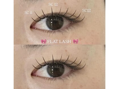 ピピ(pipi,)の写真