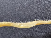 エクランプラス(Ecran+)/ＦaceＷax