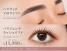 (全)【set】HBLハリウッドブロウリフト×パリジェンヌラッシュリフト