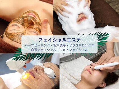 ビセル(VICELL)の写真