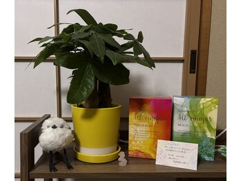 サリエ(Salier)/黄色い植木鉢カバー