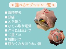 鍼灸チャンドラ(鍼灸Chandra)/春のご褒美♪美容鍼セット