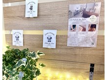 サロン ド ソワ(Salon de Soie)/ディスプレイ1