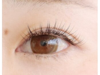 ジョリレーヌ(Jolie Reine)/スーパーフラットラッシュ100本