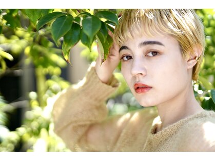 ルカアイラッシュ(ruka eyelash)の写真