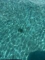 脱毛専門サロン エリクサー(Elixir) 社員旅行で行った沖縄☆海亀発見!、