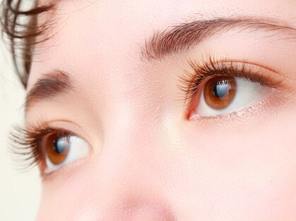 アダジオ(Adagio)の写真